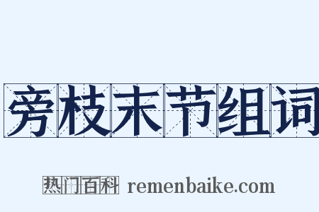 旁枝末节组词是什么意思的图片